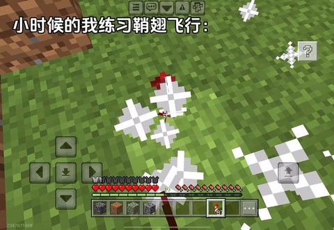 我的世界如何用翅翼[图2]