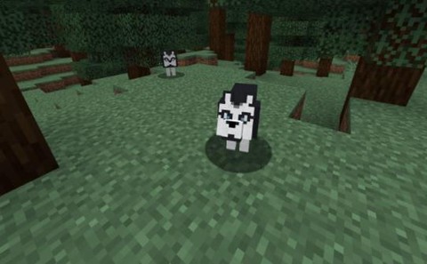 我的世界怎么驯养狼[图1]