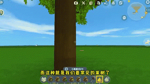 迷你世界野苹果怎么种[图1]