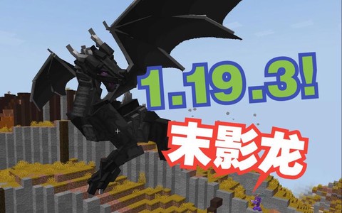 我的世界什么龙最厉害[图2]