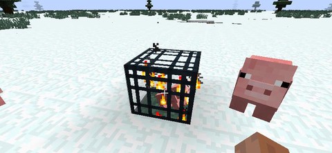 我的世界刷怪笼怎么找[图2]