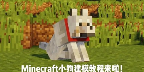 我的世界狗死了怎么办[图1]