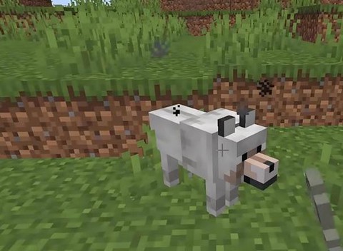 我的世界如何驯服狼[图2]