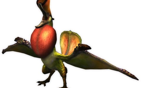 怪物猎人p3怎么打彩鸟[图1]