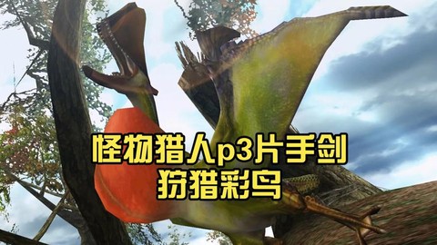 怪物猎人p3怎么打彩鸟[图2]