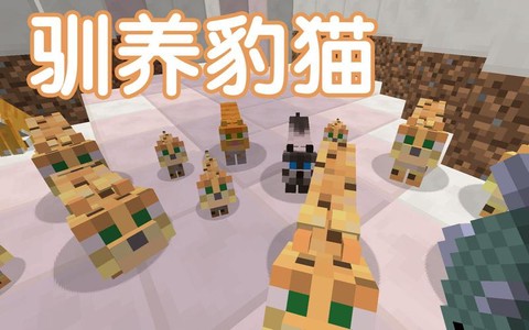 我的世界如何驯服豹猫[图2]