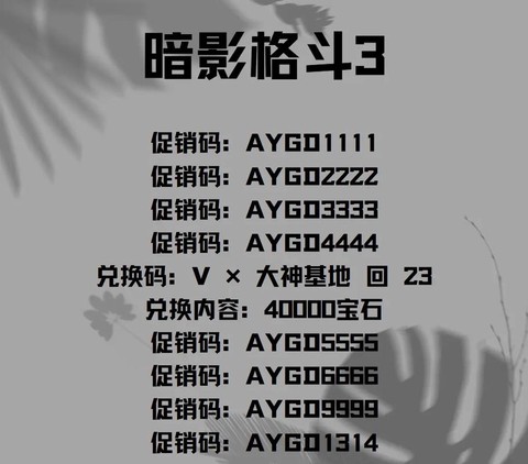 暗影格斗3怎么注册[图2]