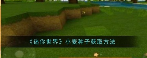 迷你世界小麦怎么刷[图1]