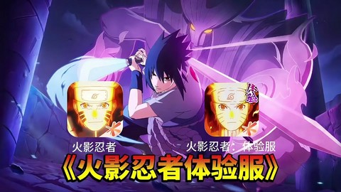 火影忍者忍犬怎么激活[图1]