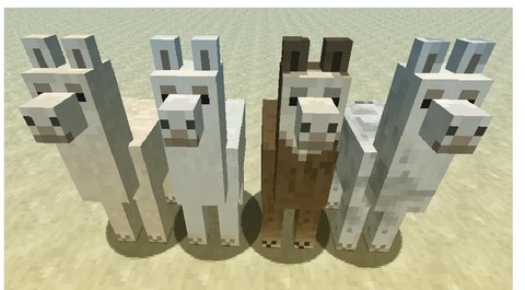 我的世界羊驼装什么[图2]