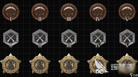 绝地求生等级怎么看[图2]