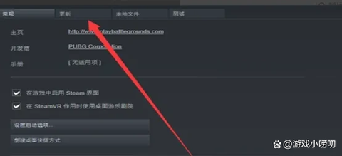 绝地求生怎么组队语音[图1]